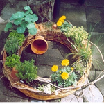 Bepflanzter Weiden-Kräuter-Kranz