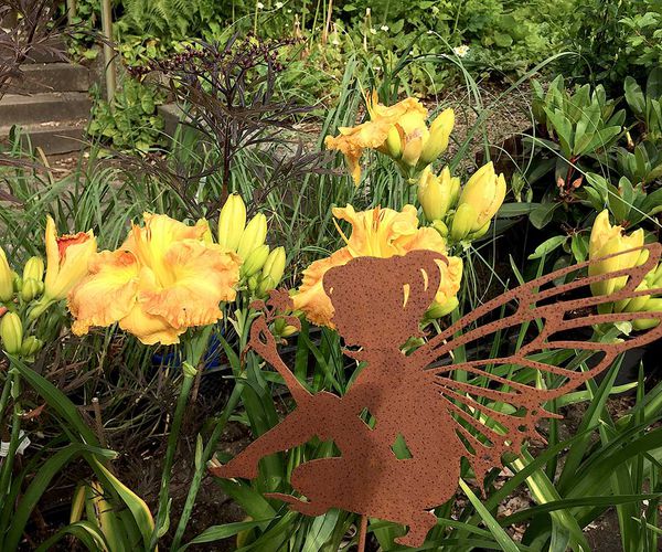 essbare Taglilien (Hemerocallis) essbare Taglilien (Hemerocallis)