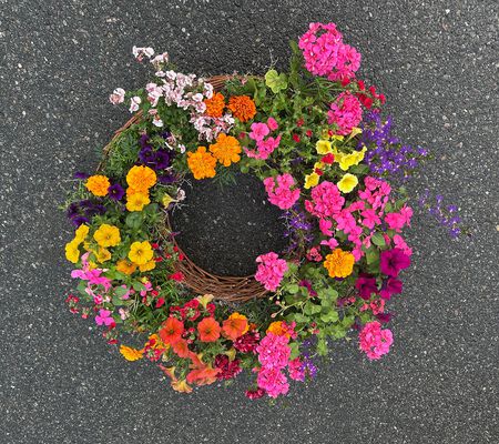 Pflanz Kranz Sommer bunt im Juni