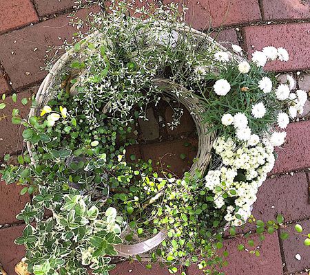 Pflanzkranz in weiss Mix