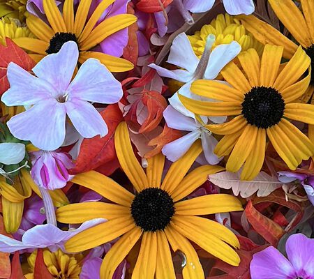 Streublumen im September