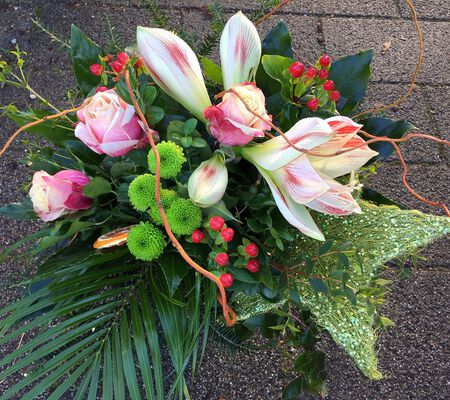 Amaryllis in Begleitung