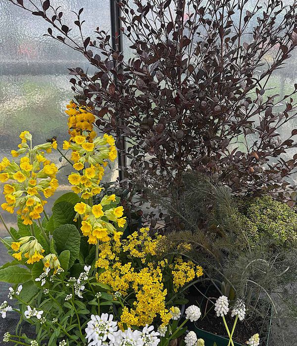 Staudengestaltung life in der Gärtnerei