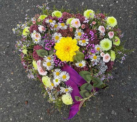 herzige Leichtigkeit - Nov