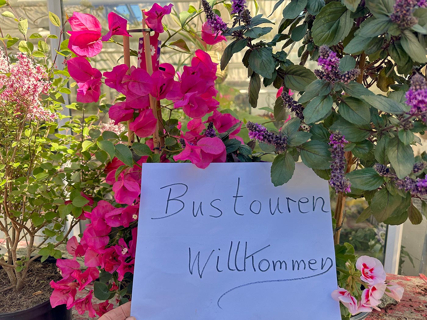 Bustouren willkommen !